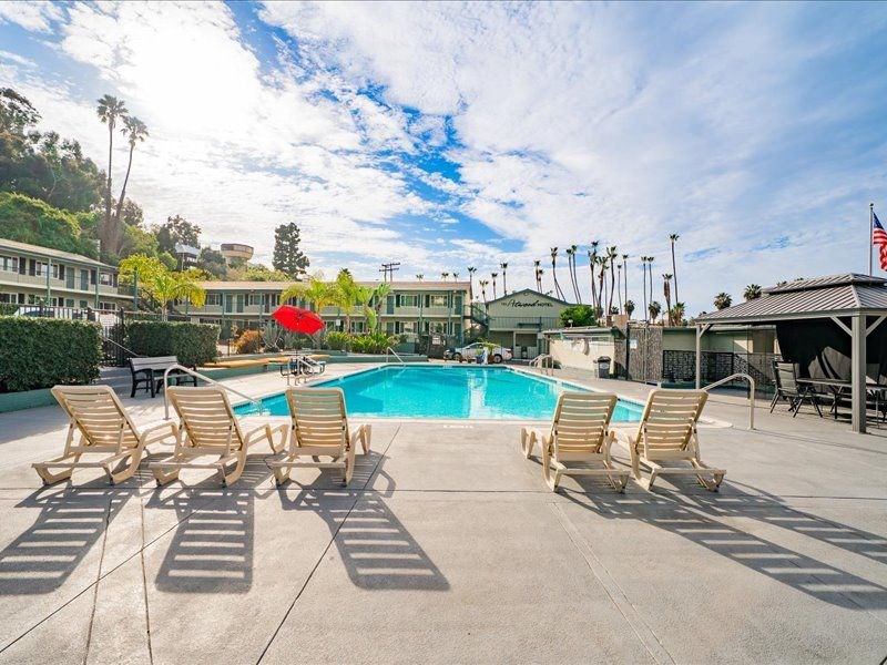 A swimming pool with lounge chairs and palm trees in the background.